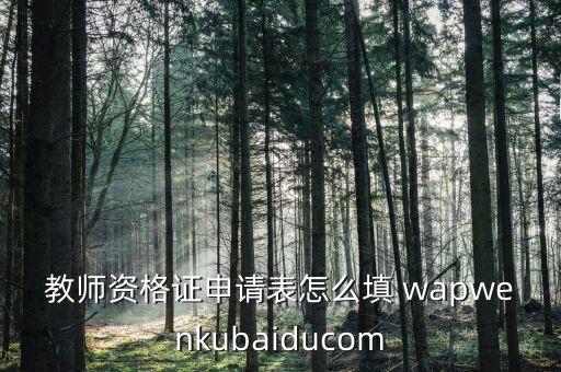 教師資格證注冊表怎么寫，注冊表怎么編寫 有那些命令和格式...